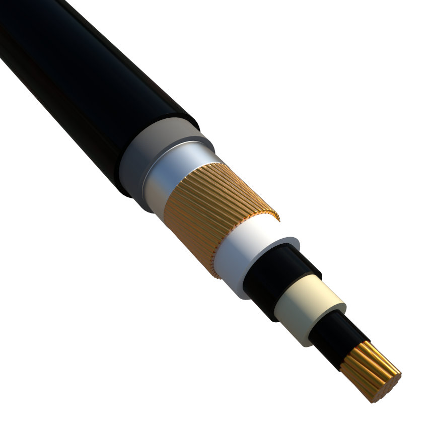 N2XS(FL)H 6/10 kV